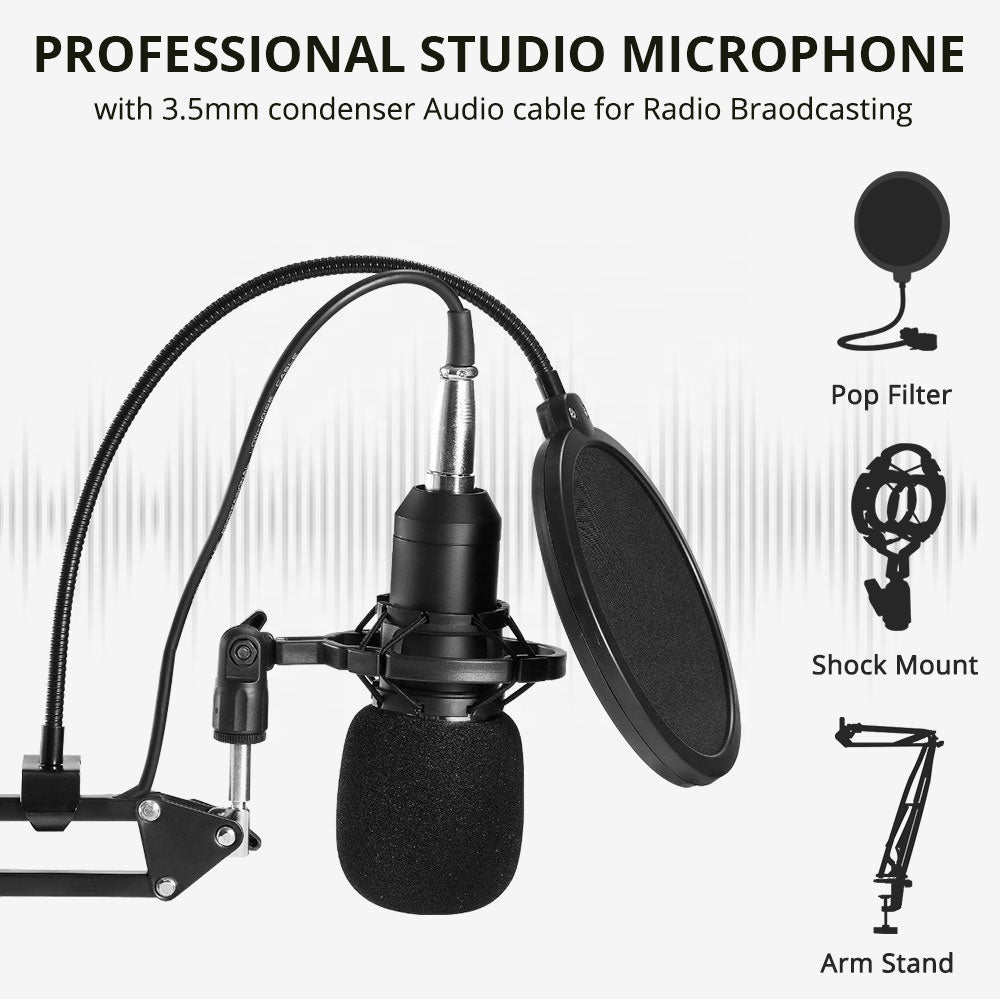 C - Live Broadcast Equipment Full Set Studio Condenser Microphone Professional Black & Gold