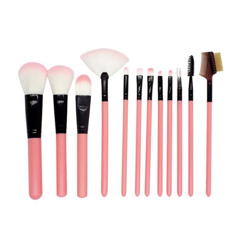 12 Pcs Eye Makeup Brush Set