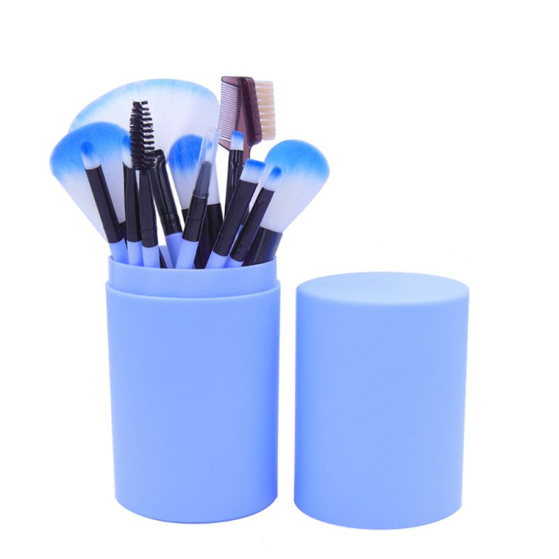 12 Pcs Eye Makeup Brush Set