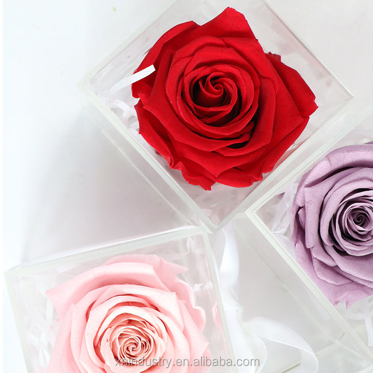 Crystal Real Rose Handmade Preserved Flower Acrylic Jewellery Chocolate Box Gift