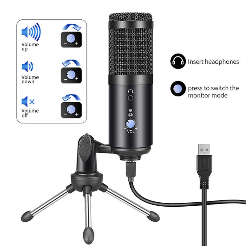 C - Studio Professional Condenser Microphone Set