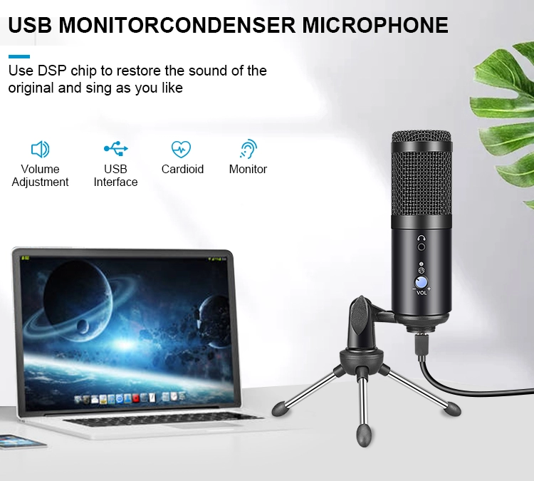 C - Studio Professional Condenser Microphone Set