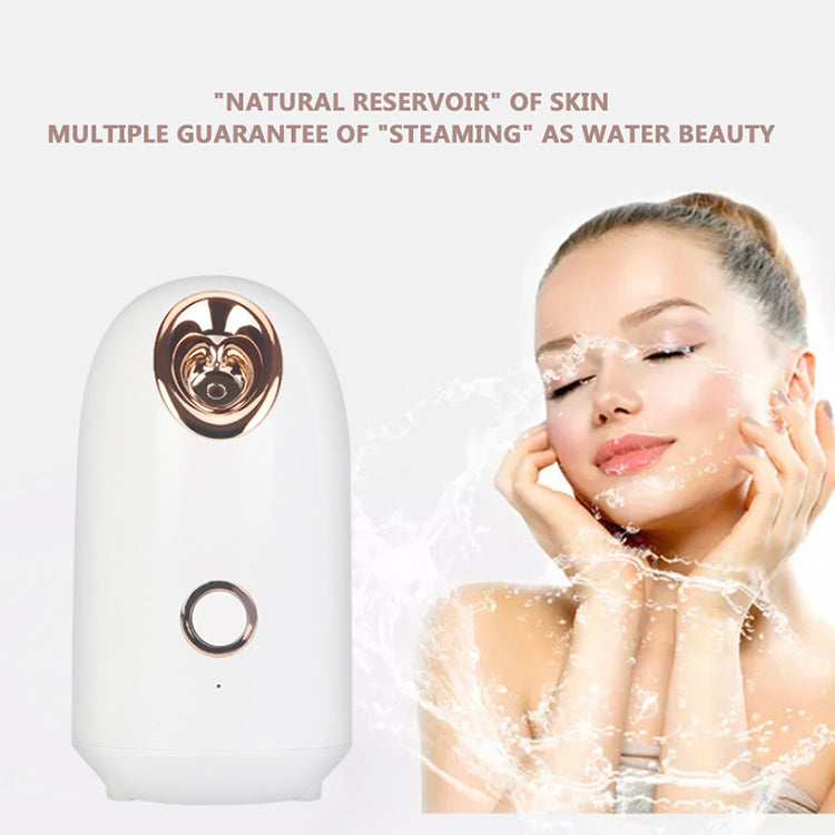 A - Nano Ionic Facial Steamer 150ml Large Water Tank Deep Cleaning Home SPA Skin Care Sprayer Humidifier Moisturizer Beauty Device