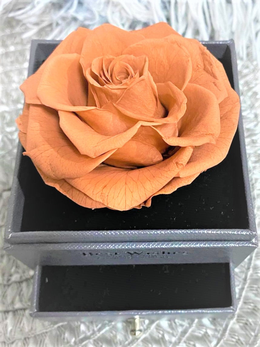 G - Eternal Rose Gift Set Real Preserved Flower with Gold, Rose Gold or Silver Plated Necklace Gifts
