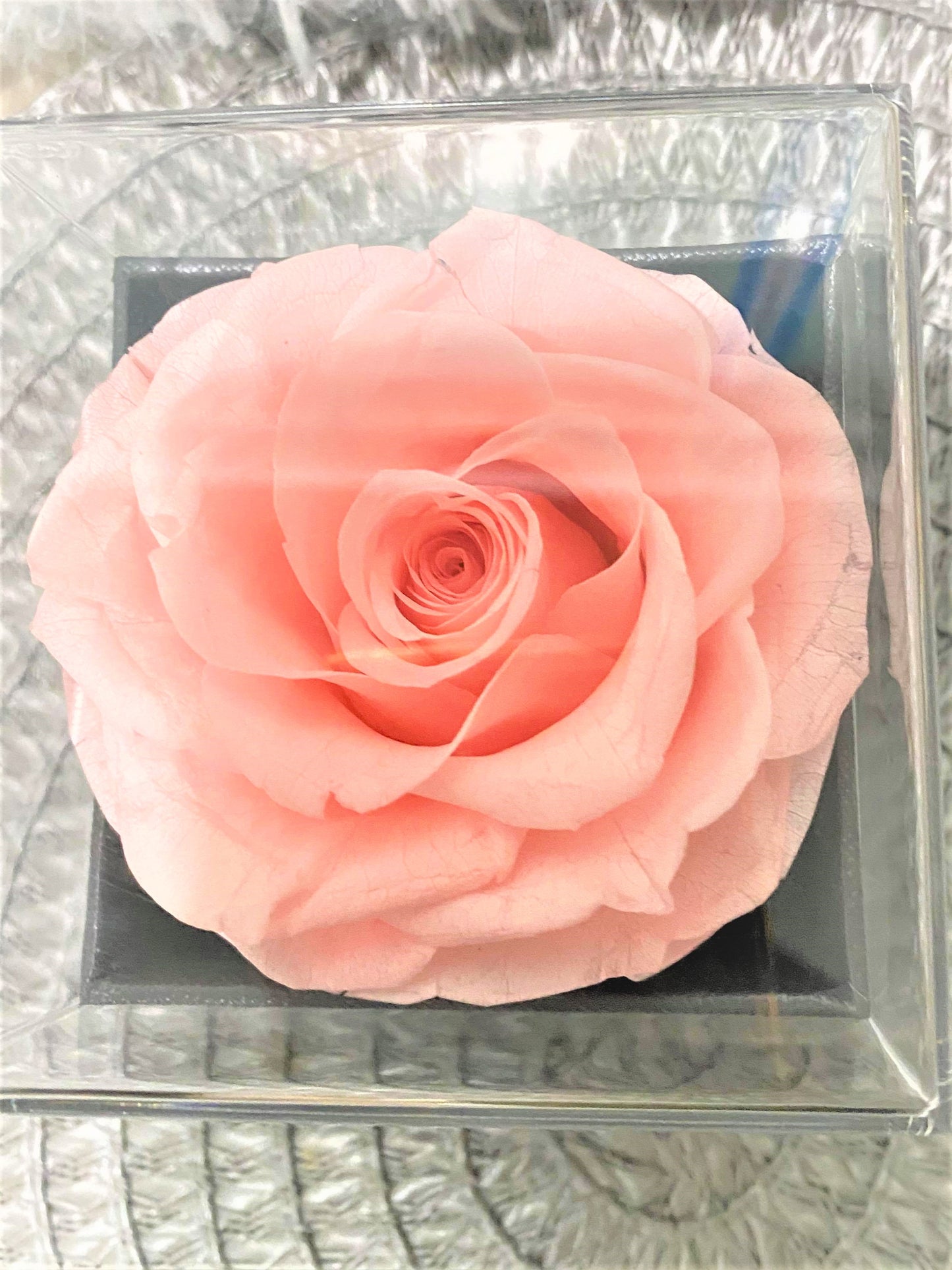 G - Eternal Rose Gift Set Real Preserved Flower with Gold, Rose Gold or Silver Plated Necklace Gifts