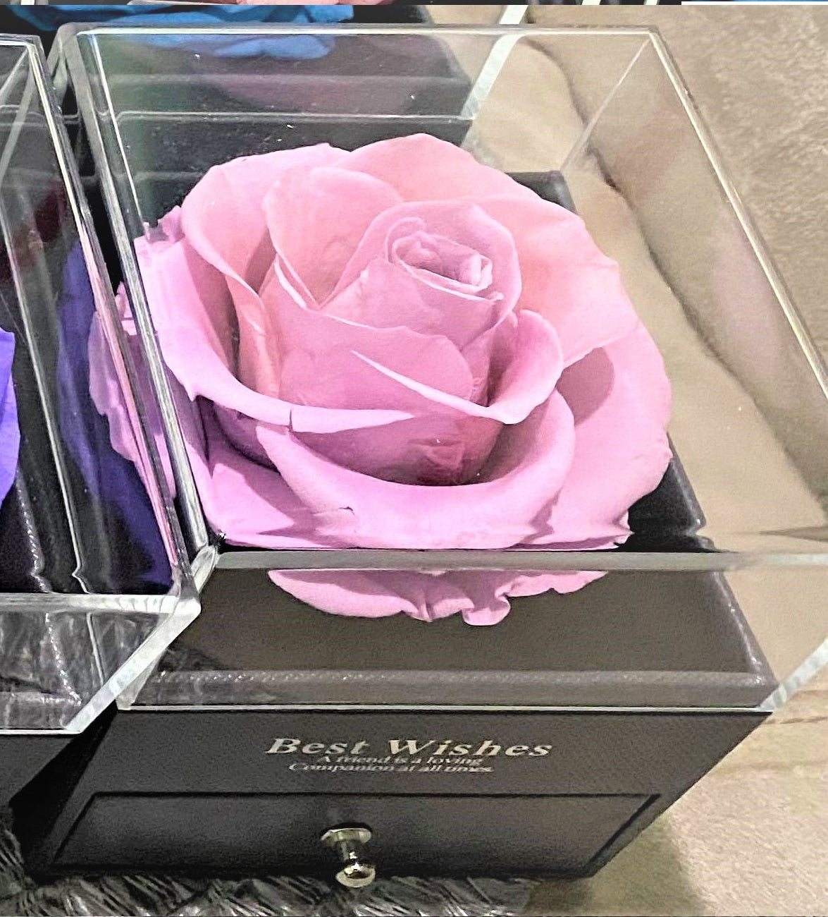 G - Eternal Rose Gift Set Real Preserved Flower with Gold, Rose Gold or Silver Plated Necklace Gifts