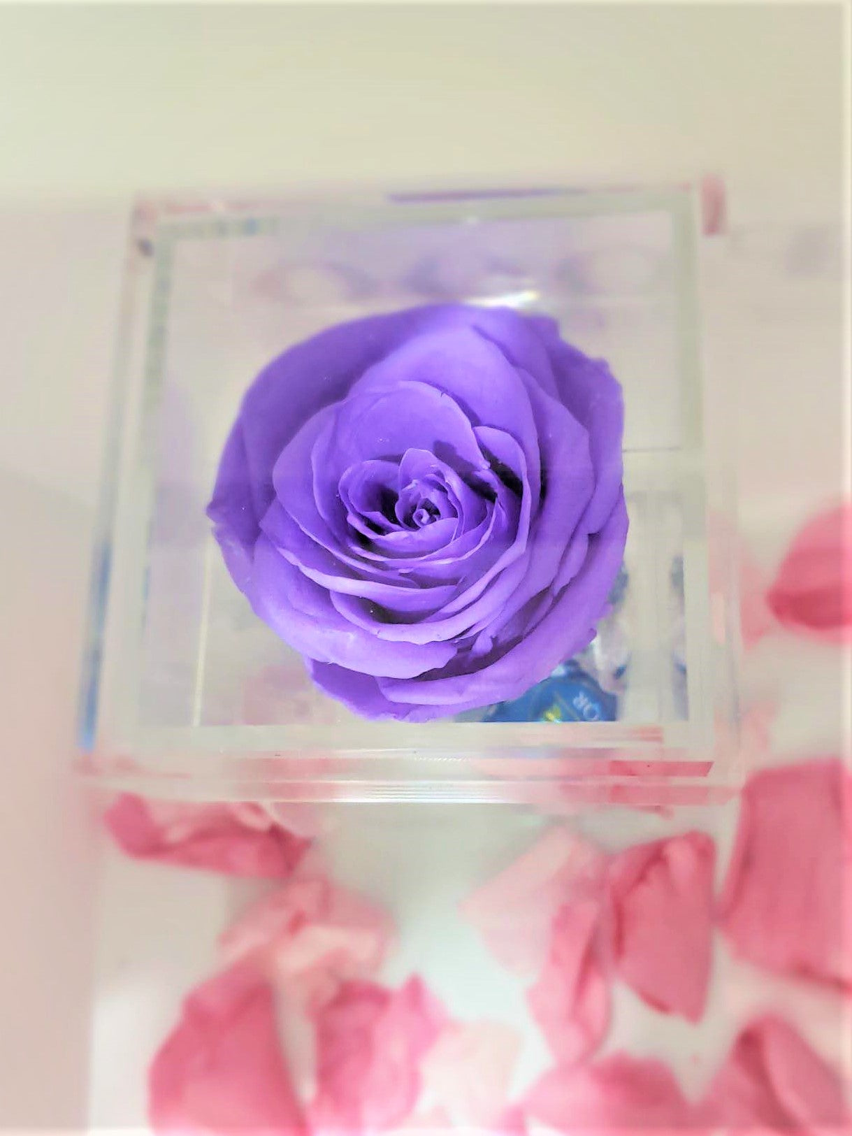 Crystal Real Rose Handmade Preserved Flower Acrylic Jewellery Chocolate Box Gift