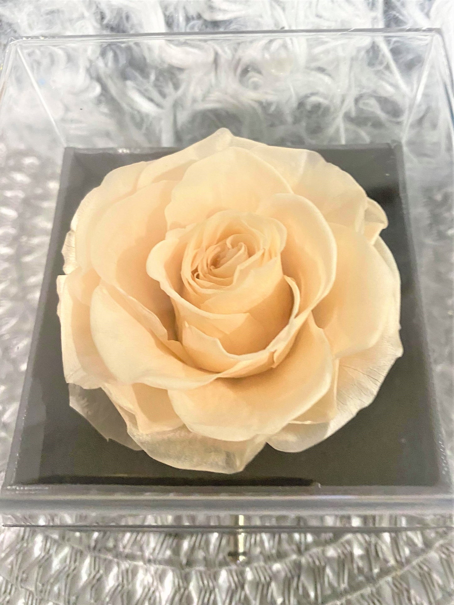 G - Eternal Rose Gift Set Real Preserved Flower with Gold, Rose Gold or Silver Plated Necklace Gifts
