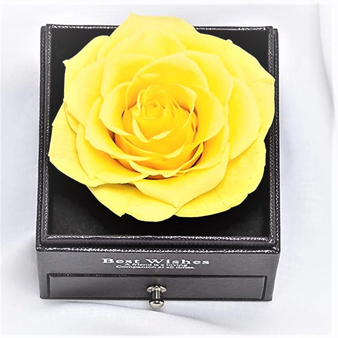 G - Eternal Rose Gift Set Real Preserved Flower with Gold, Rose Gold or Silver Plated Necklace Gifts
