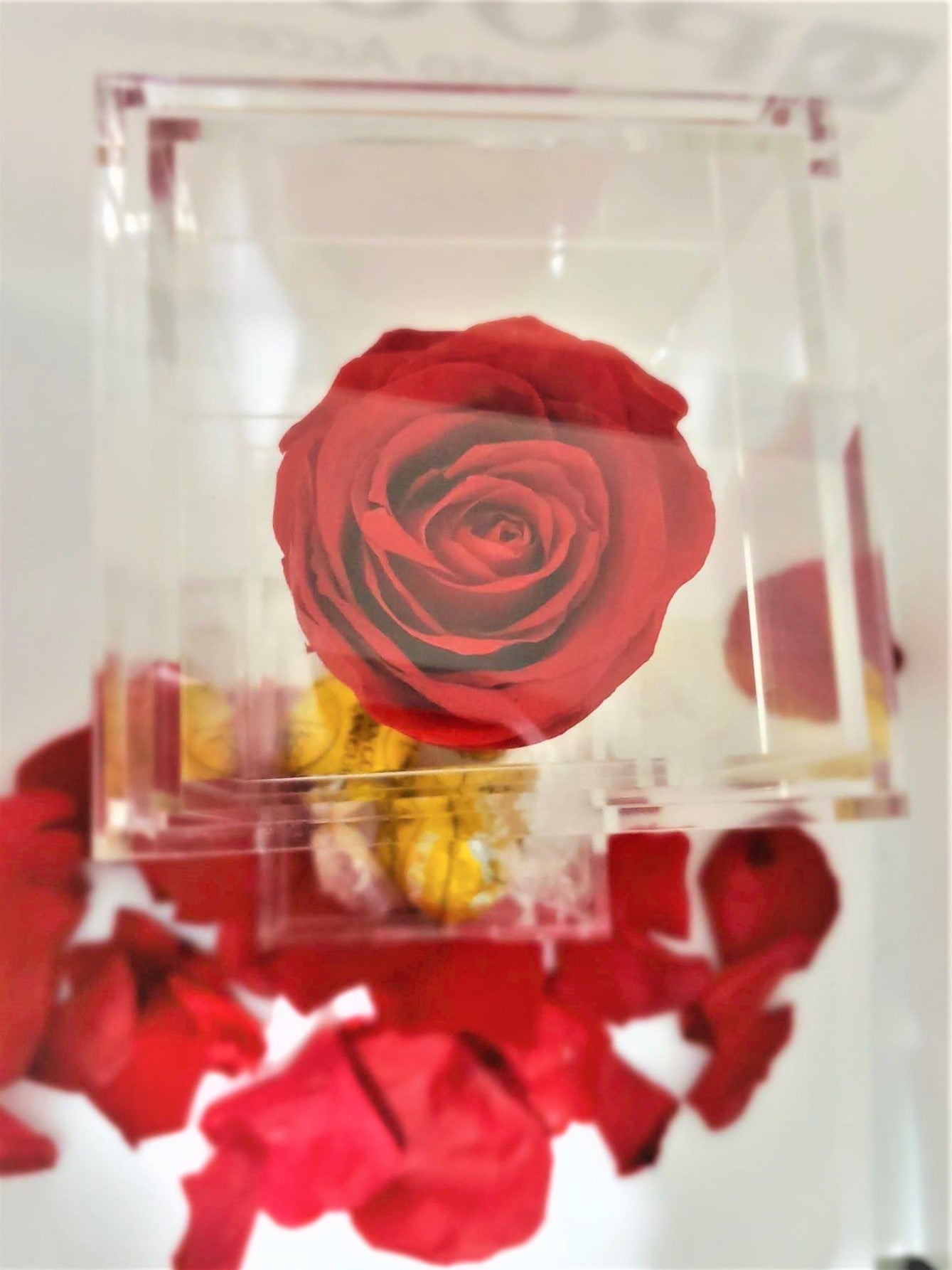 Crystal Real Rose Handmade Preserved Flower Acrylic Jewellery Chocolate Box Gift