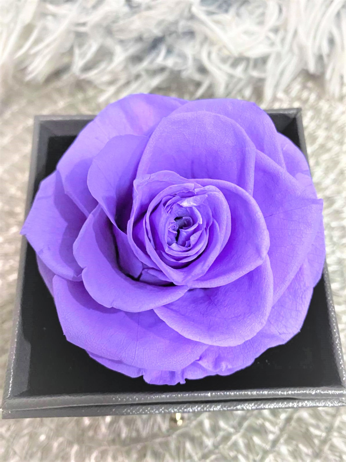 G - Eternal Rose Gift Set Real Preserved Flower with Gold, Rose Gold or Silver Plated Necklace Gifts
