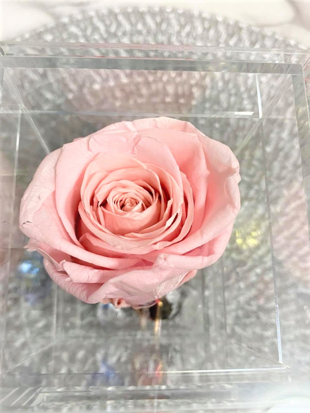 Crystal Real Rose Handmade Preserved Flower Acrylic Jewellery Chocolate Box Gift