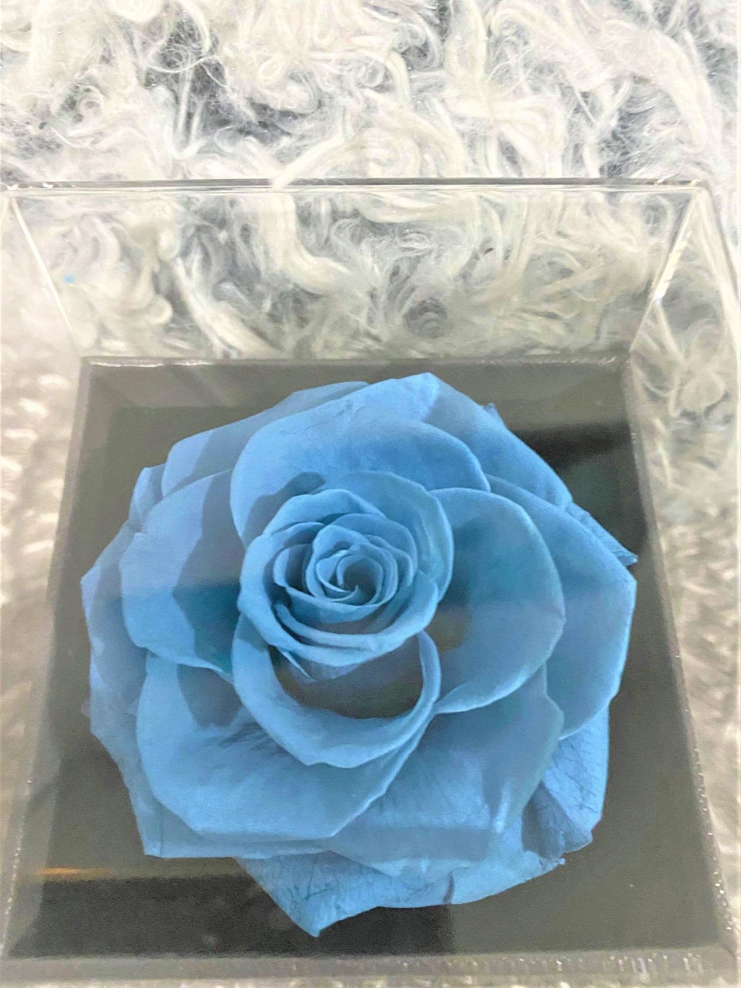 G - Eternal Rose Gift Set Real Preserved Flower with Gold, Rose Gold or Silver Plated Necklace Gifts