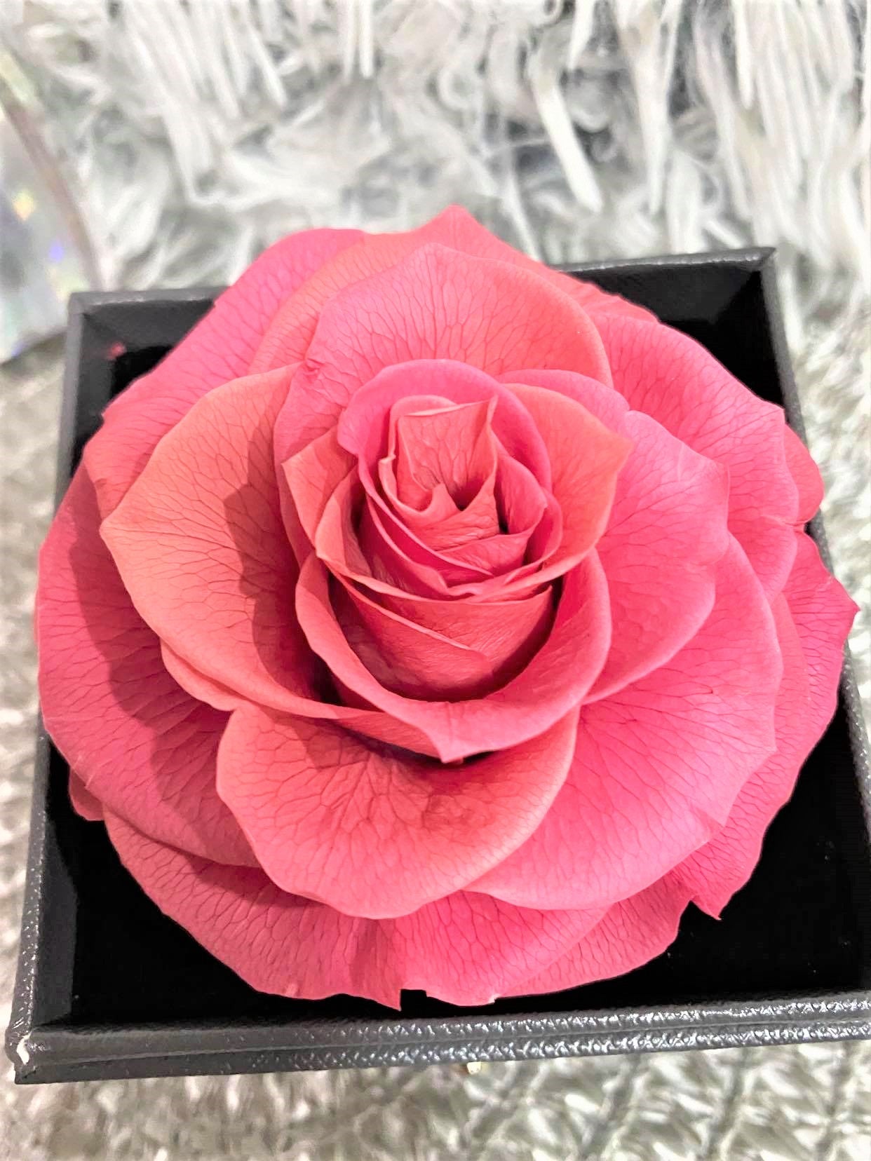 G - Eternal Rose Gift Set Real Preserved Flower with Gold, Rose Gold or Silver Plated Necklace Gifts