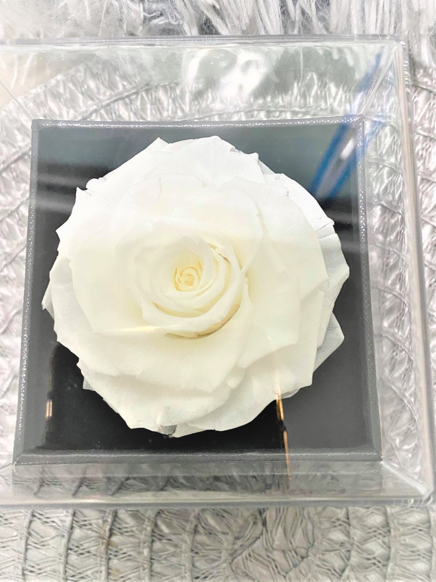 G - Eternal Rose Gift Set Real Preserved Flower with Gold, Rose Gold or Silver Plated Necklace Gifts