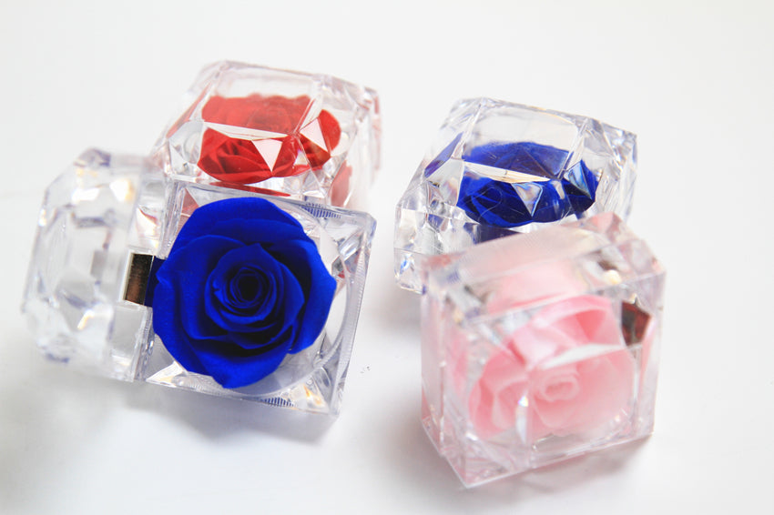 N - Real Rose Crystal Ring Box Preserved Flower Gift