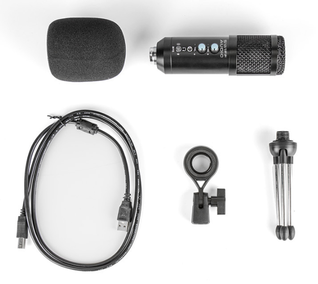 C - Studio Professional Condenser Microphone Set