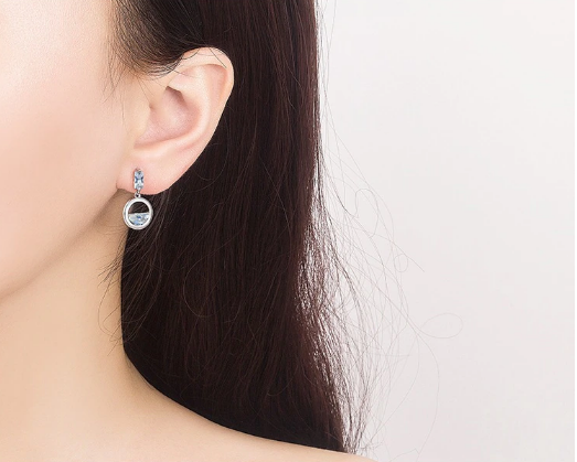 F - Circle Diamond Crystal 925 Sterling Silver Cubic Zirconia Dangle Earrings Gift