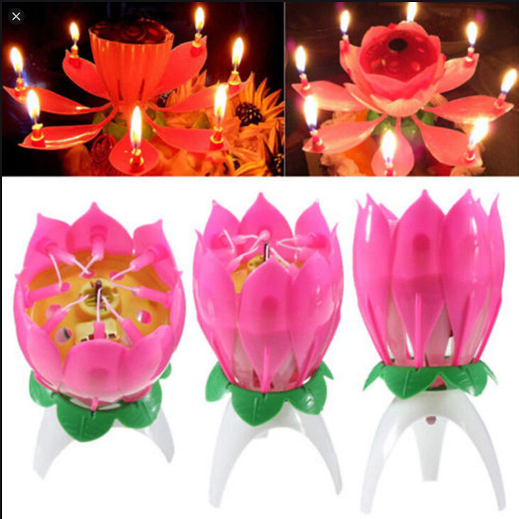 Pink Lotus Birthday Candle Musical Rotating Singing Music Happy BDay Flower Light Candles