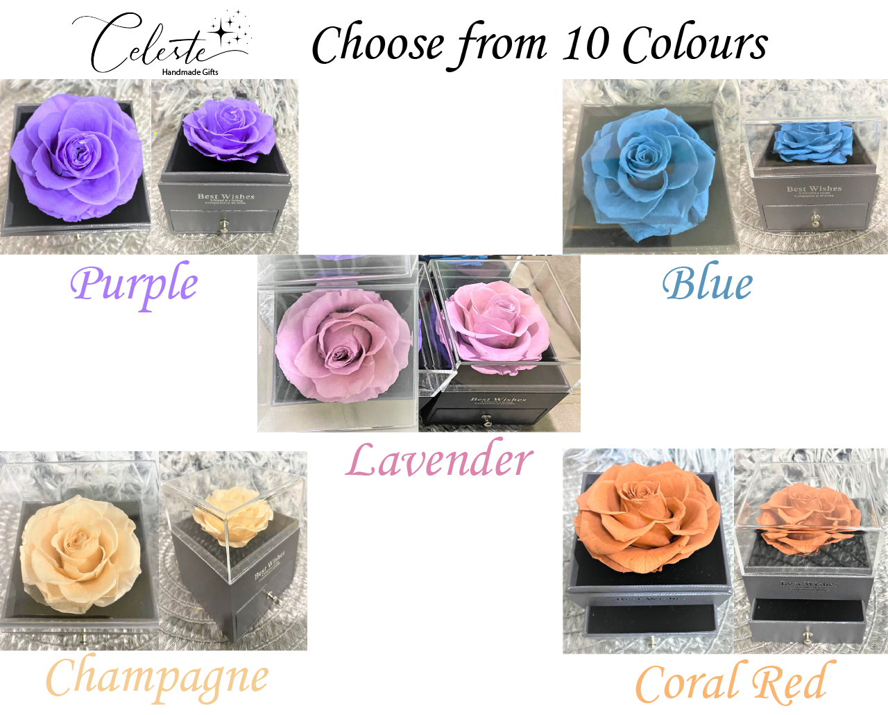 G - Eternal Rose Gift Set Real Preserved Flower with Gold, Rose Gold or Silver Plated Necklace Gifts