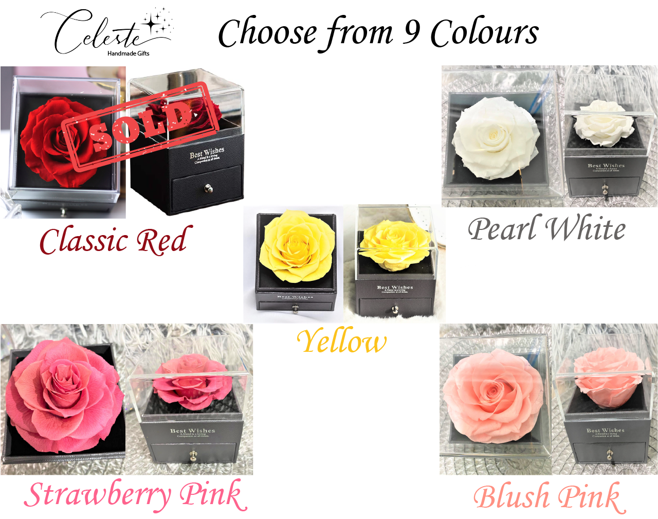 G - Eternal Rose Gift Set Real Preserved Flower with Gold, Rose Gold or Silver Plated Necklace Gifts