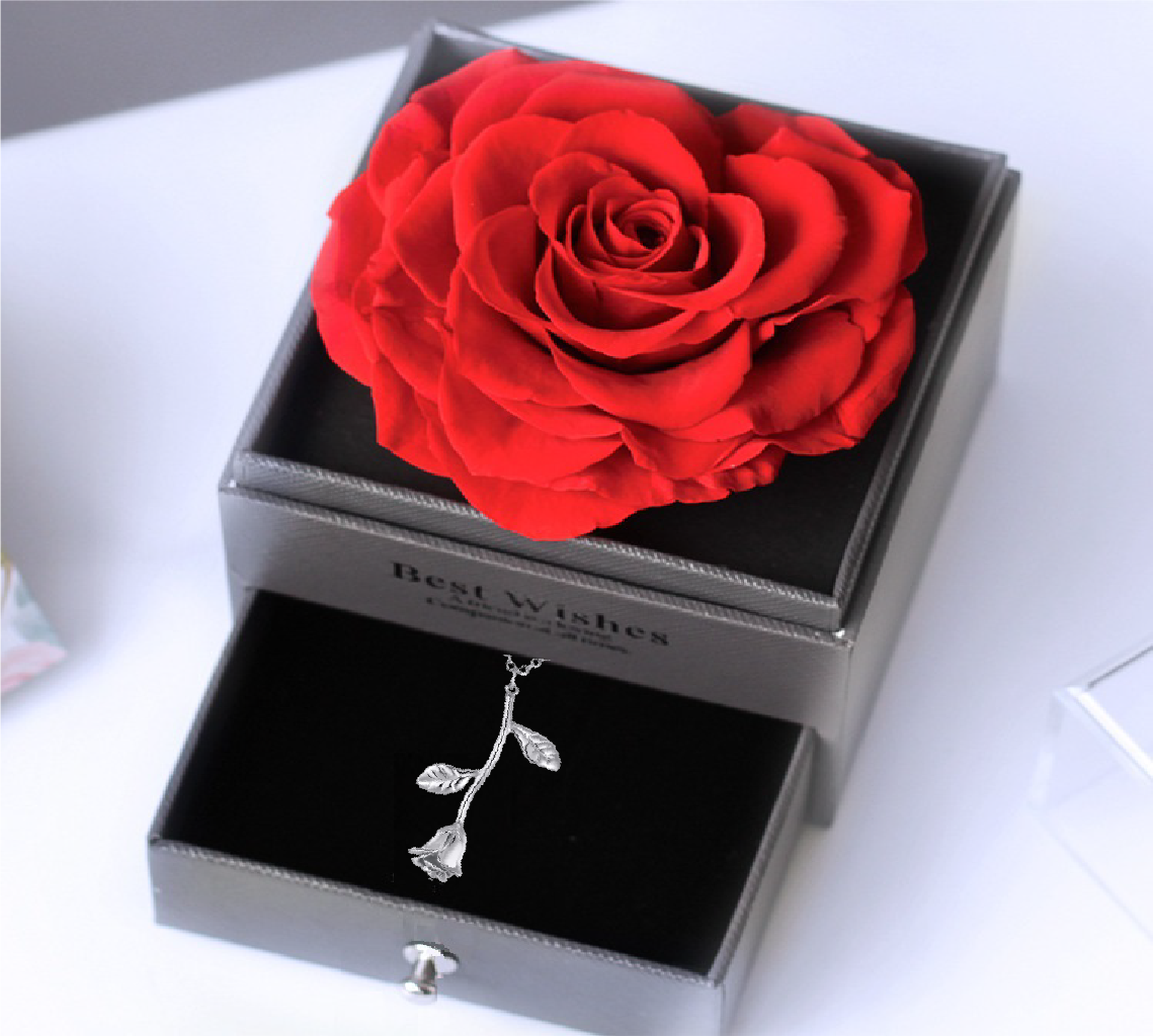 G - Eternal Rose Gift Set Real Preserved Flower with Gold, Rose Gold or Silver Plated Necklace Gifts